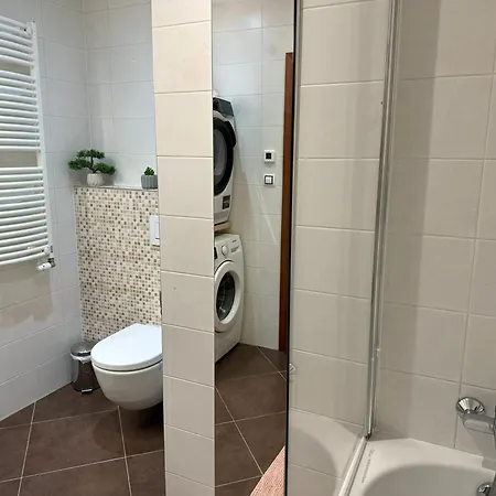 Garden Towers Boutique With Free Parking Πράγα